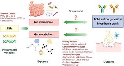 Evidence for genetic causal relationships between gut microbiome, metabolites, and myasthenia gravis: a bidirectional Mendelian randomization study